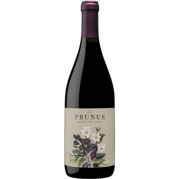 Picture of Gota Prunus Private Selection Tinto 2022