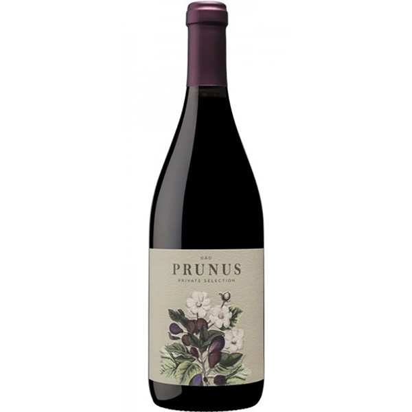 Picture of Gota Prunus Private Selection Tinto 2022