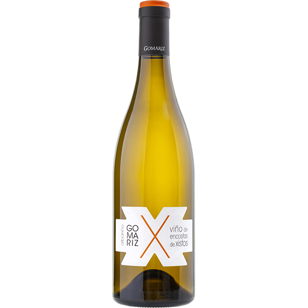 Picture of Coto de Gomariz 'X' Xistos Albarino 2024