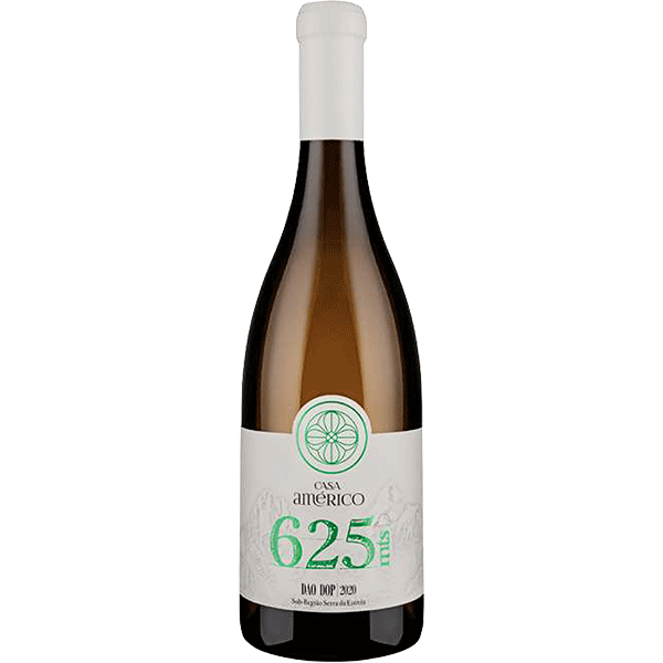 Picture of Casa Americo 625 MTS Branco 2020