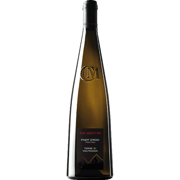 Picture of Ca' Montini Pinot Grigio 2024