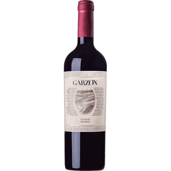 Picture of Bodega Garzon Reserve Tannat 2024 750ml